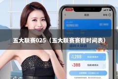 五大联赛025（五大联赛赛程时间表）