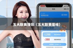 五大联赛懂你（五大联赛是啥）
