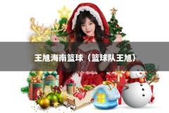 王旭海南篮球（篮球队王旭）