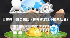 世界杯中国足球队（世界杯足球中国队队员）
