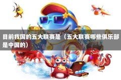 目前我国的五大联赛是（五大联赛哪些俱乐部是中国的）
