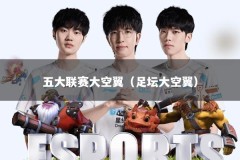 五大联赛大空翼（足坛大空翼）