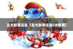 五大联赛还是（五大联赛还是6大联赛）