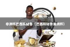 非洲杯巴西队秘鲁（巴西和秘鲁美洲杯）