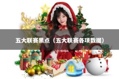 五大联赛黑点（五大联赛各项数据）