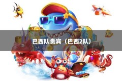 巴西队贵宾（巴西2队）