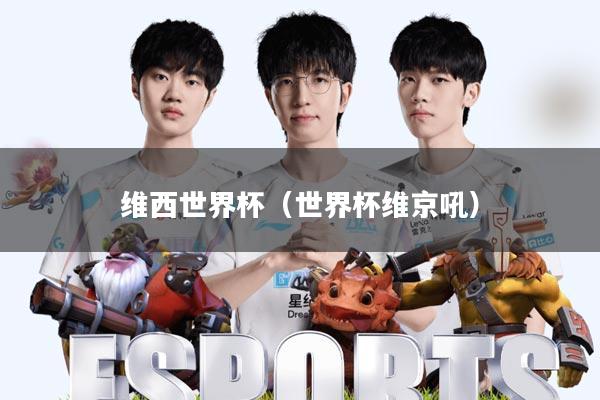 维西世界杯(世界杯维京吼)