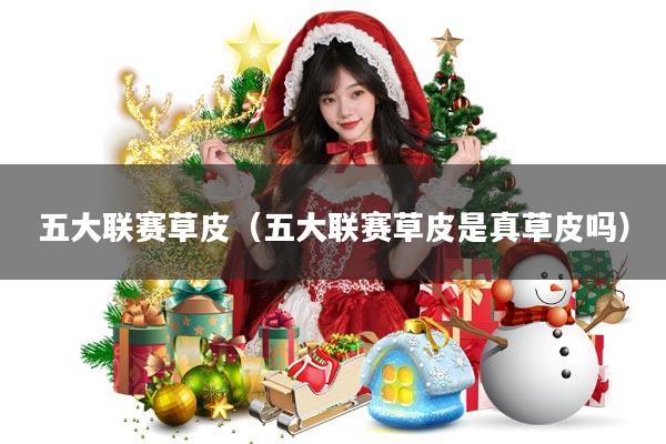 五大联赛草皮(五大联赛草皮是真草皮吗)